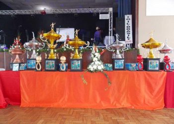 13solidario (14)