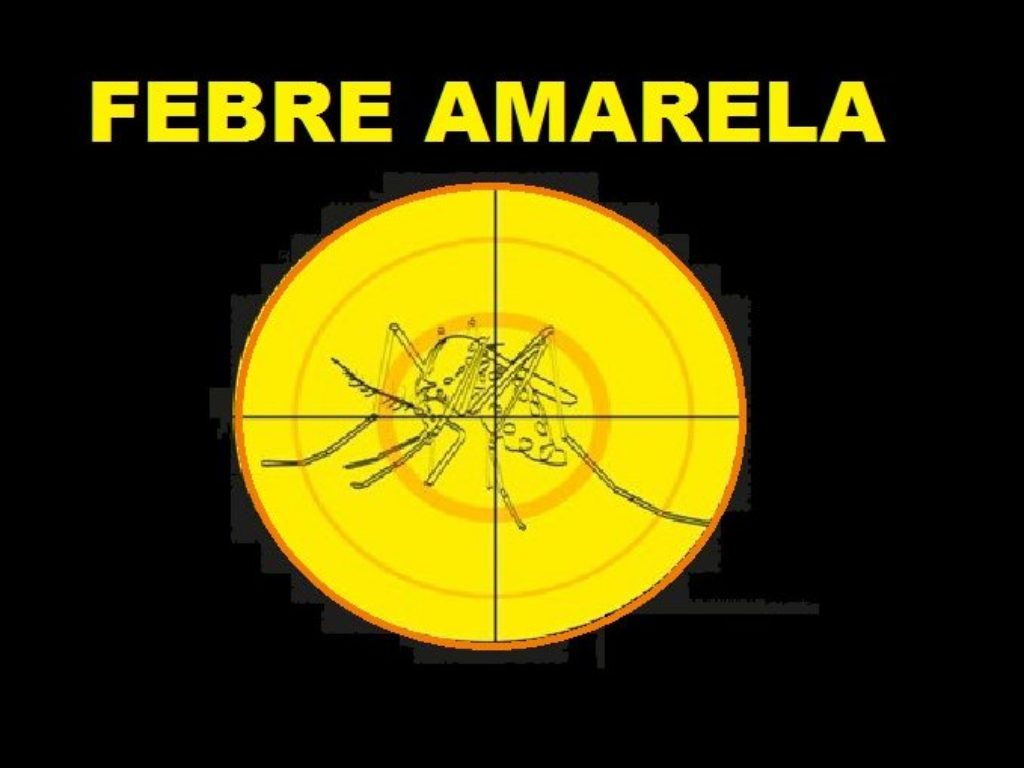 Febre-Amarela-saiba-mais-1000x509