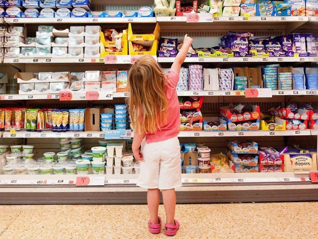 alimentos processados
